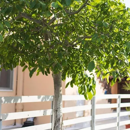 Sandy Complex - Poolside & Seaside Apart-hotel Kávos